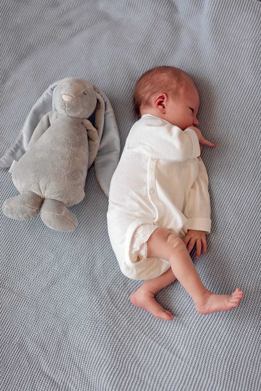 Noworodek z pluszowym króliczkiem sesja Sopot