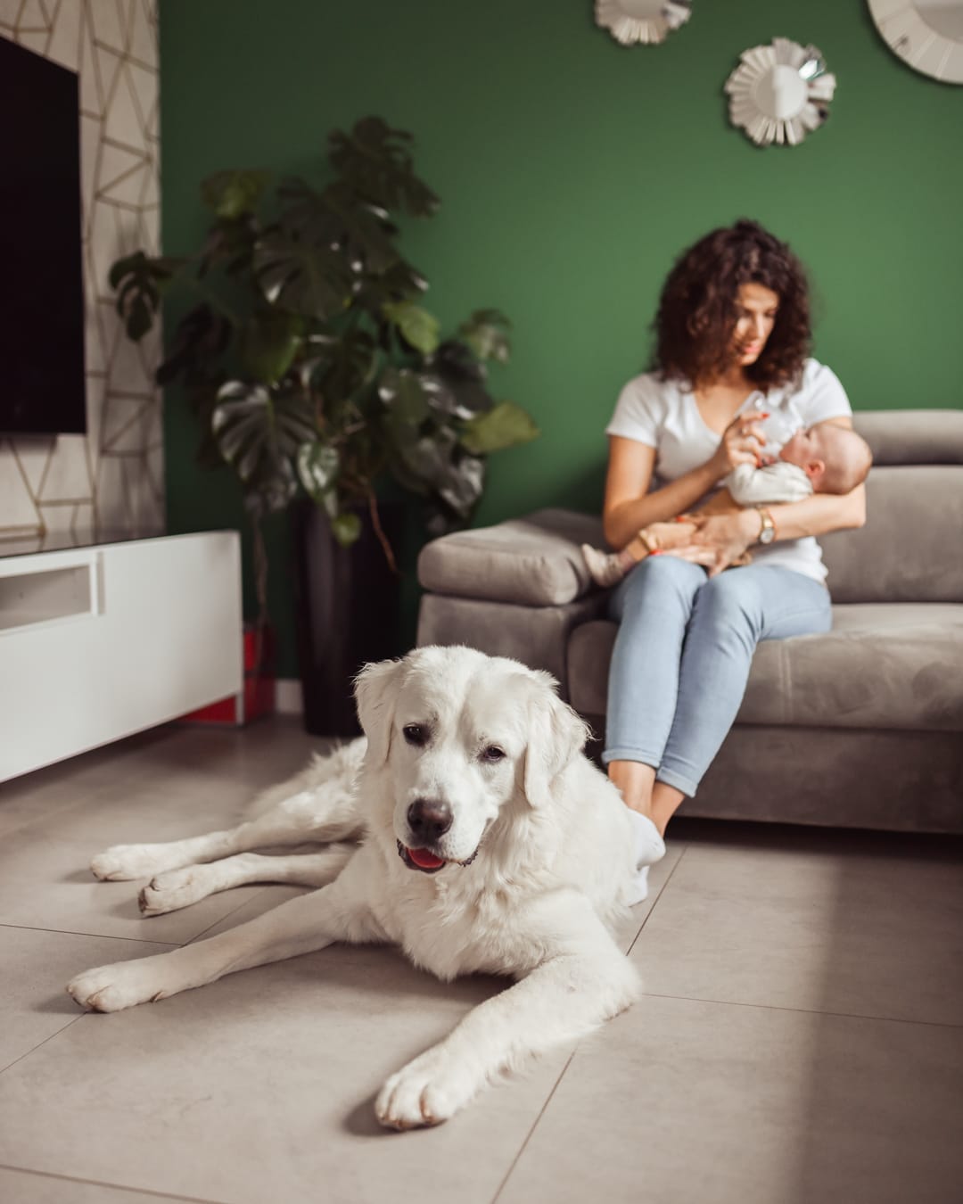 Mama z niemowlęciem i owczarek podhalański sesja w domu