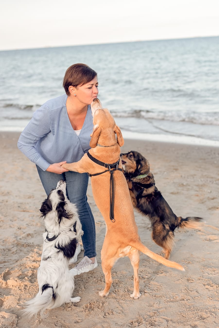 Mama z trzema psami sesja rodzinna nad morzem Sopot