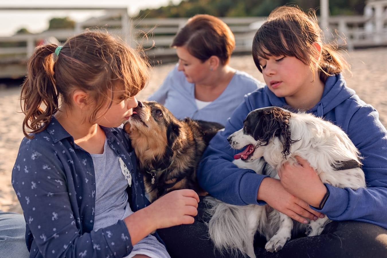 Rodzina z trzema psami na plaży sesja rodzinna Sopot