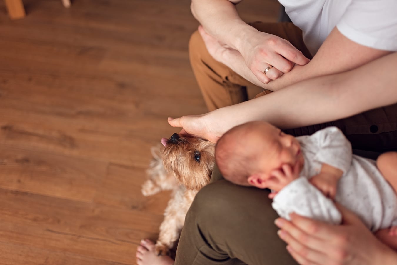 Rodzice głaszczą psa mając noworodka na kolanach sesja w domu Gdańsk