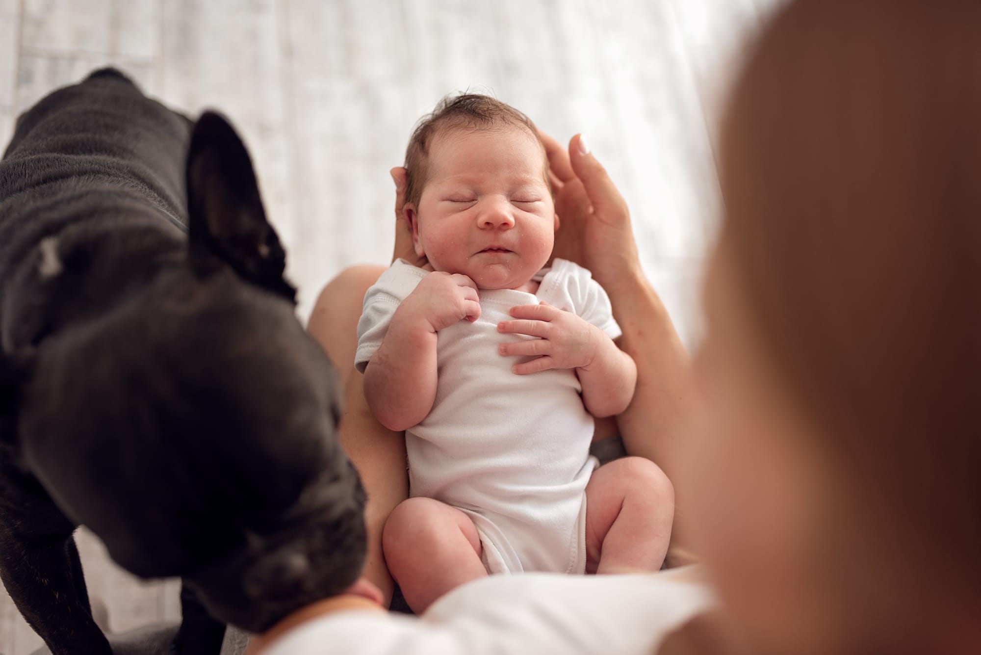 Pies w domu z noworodkiem sesja noworodkowa z psem Trójmiasto