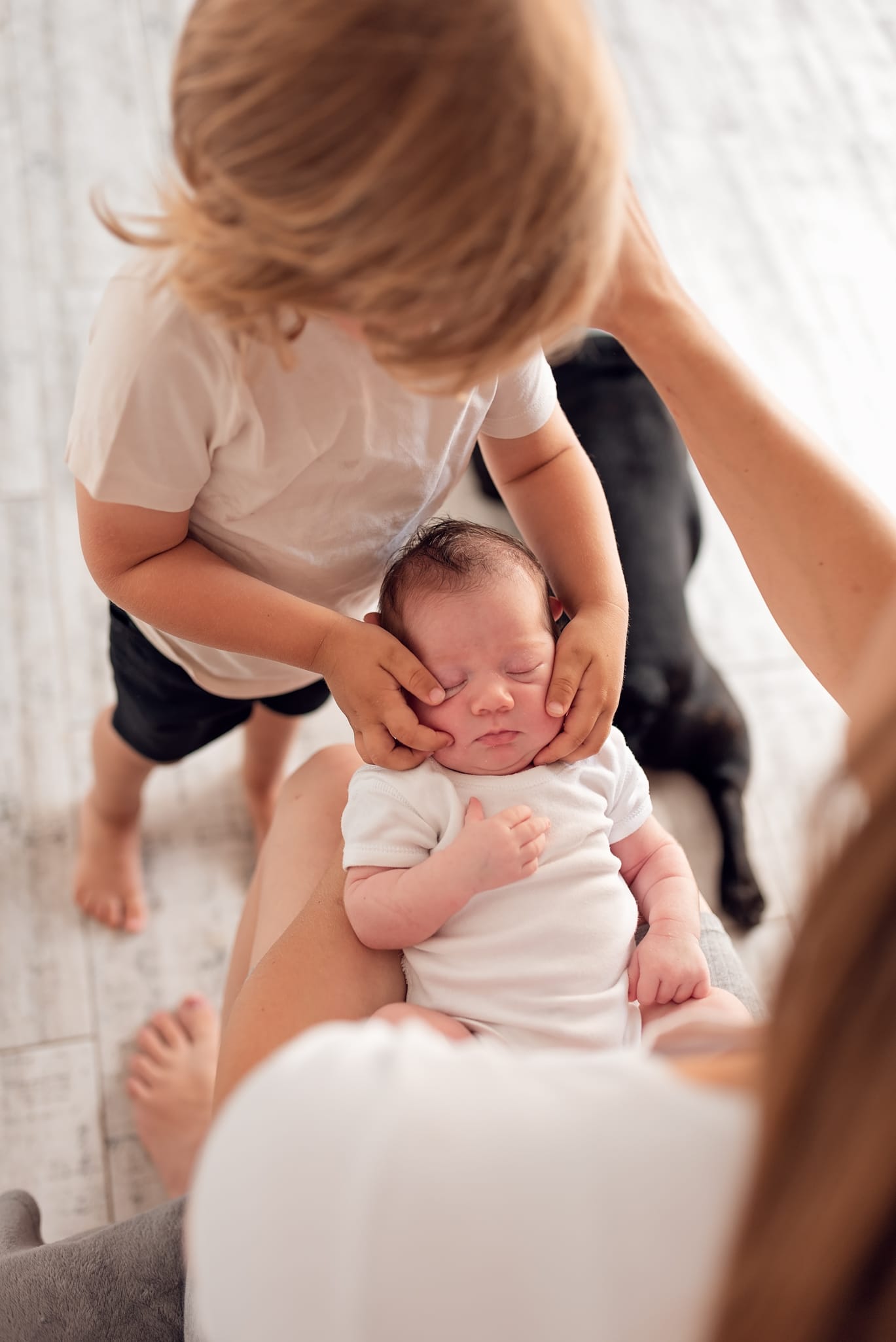 Brat otula noworodka pies śpi w tle sesja lifestyle Trójmiasto