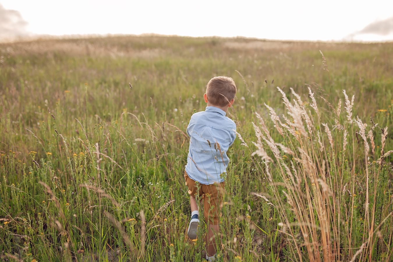 Chłopiec idzie przez łąkę zachód słońca sesja Gdynia