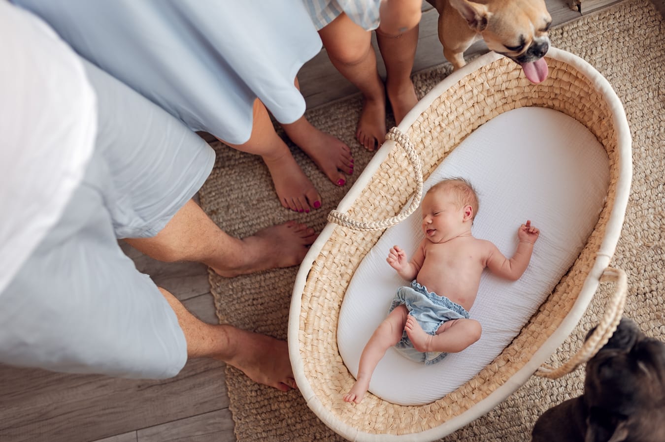 Noworodek w koszu rodzina i psy fotografia noworodkowa Trójmiasto