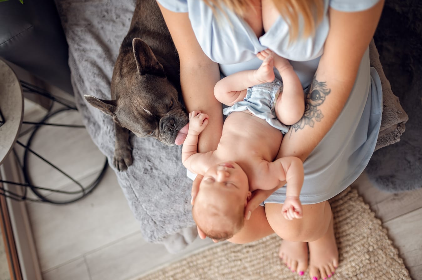 Pies liże rączkę noworodka sesja noworodkowa z psem