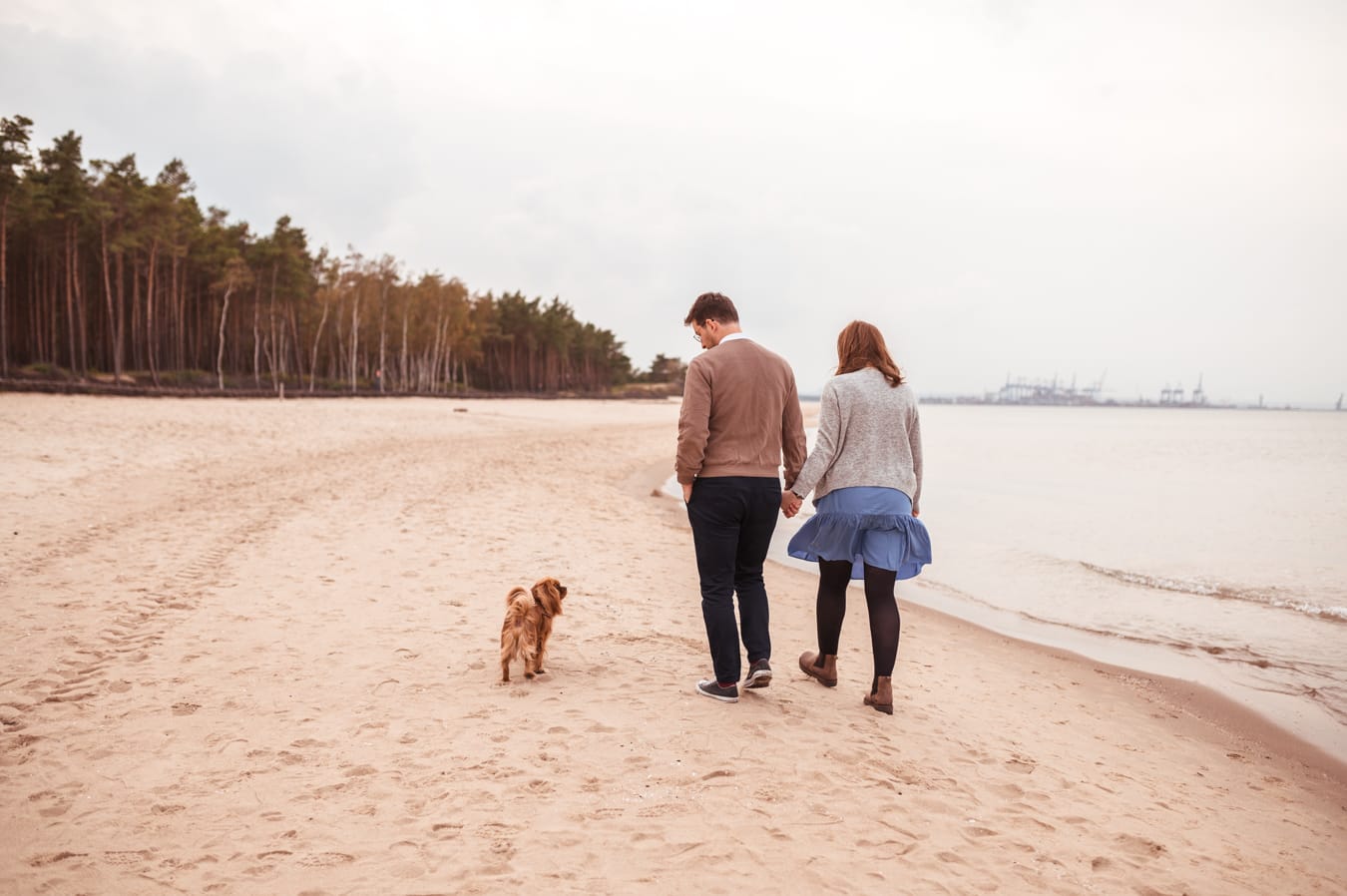 Cavalier King Charles sesja ciążowa z psem plaża