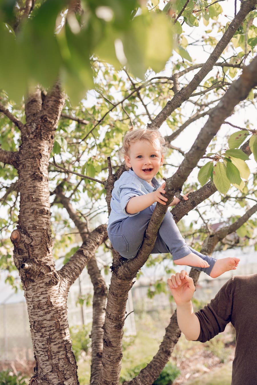 Chłopiec siedzący na drzewie