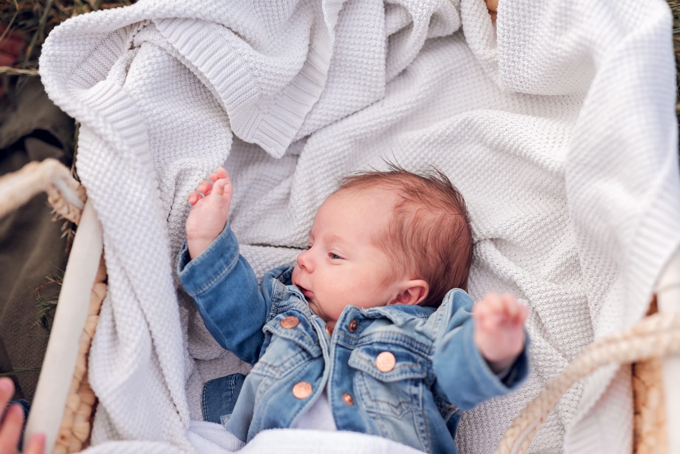 Noworodek w koszu Mojżesza podczas rodzinnej sesji noworodkowej w plenerze w Gdyni