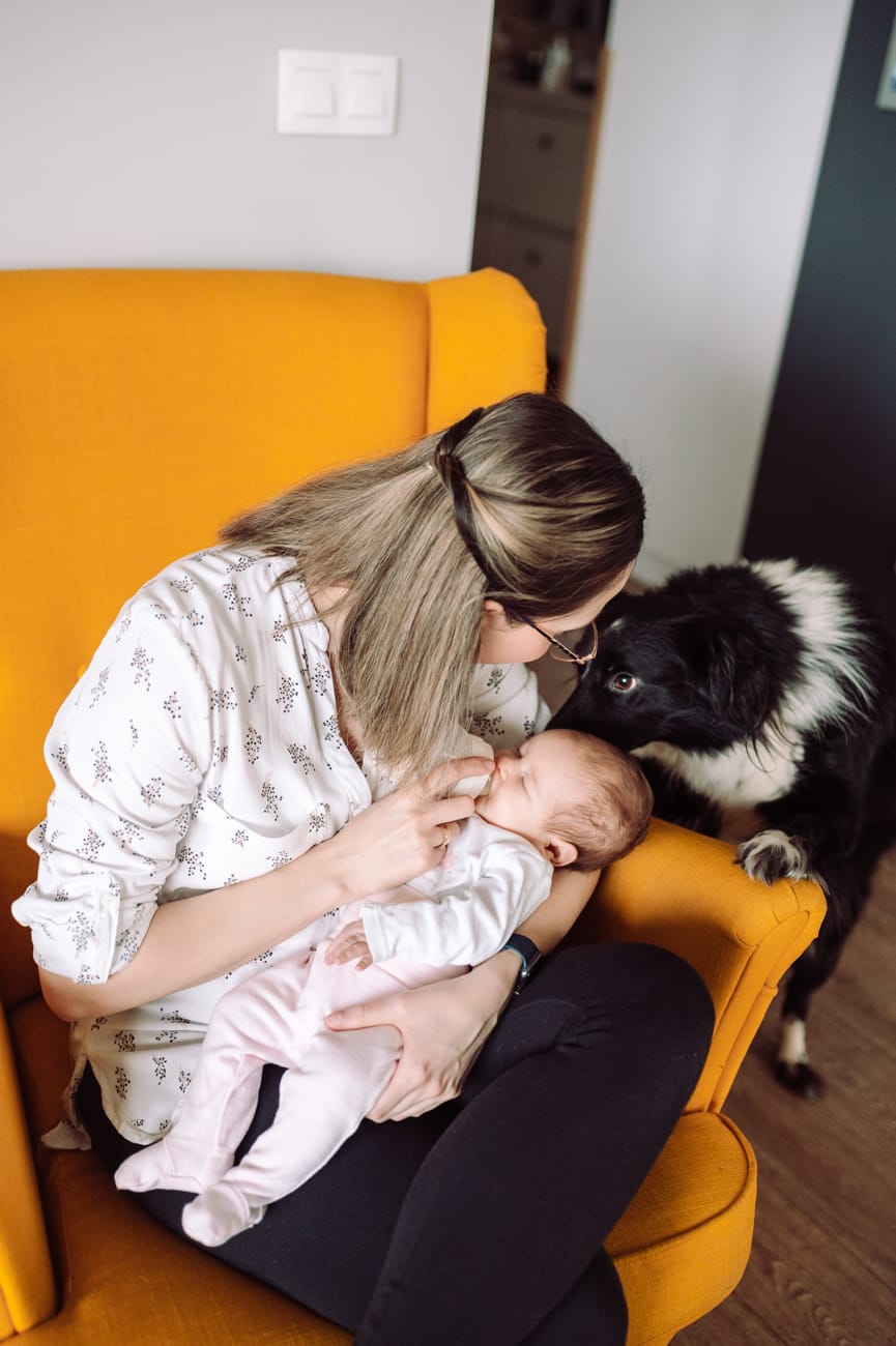 Pies wącha noworodka sesja rodzinna w domu Gdynia