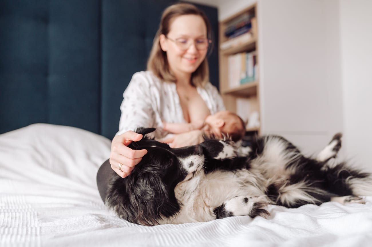 Karmienie piersią pies obok sesja rodzinna Gdynia