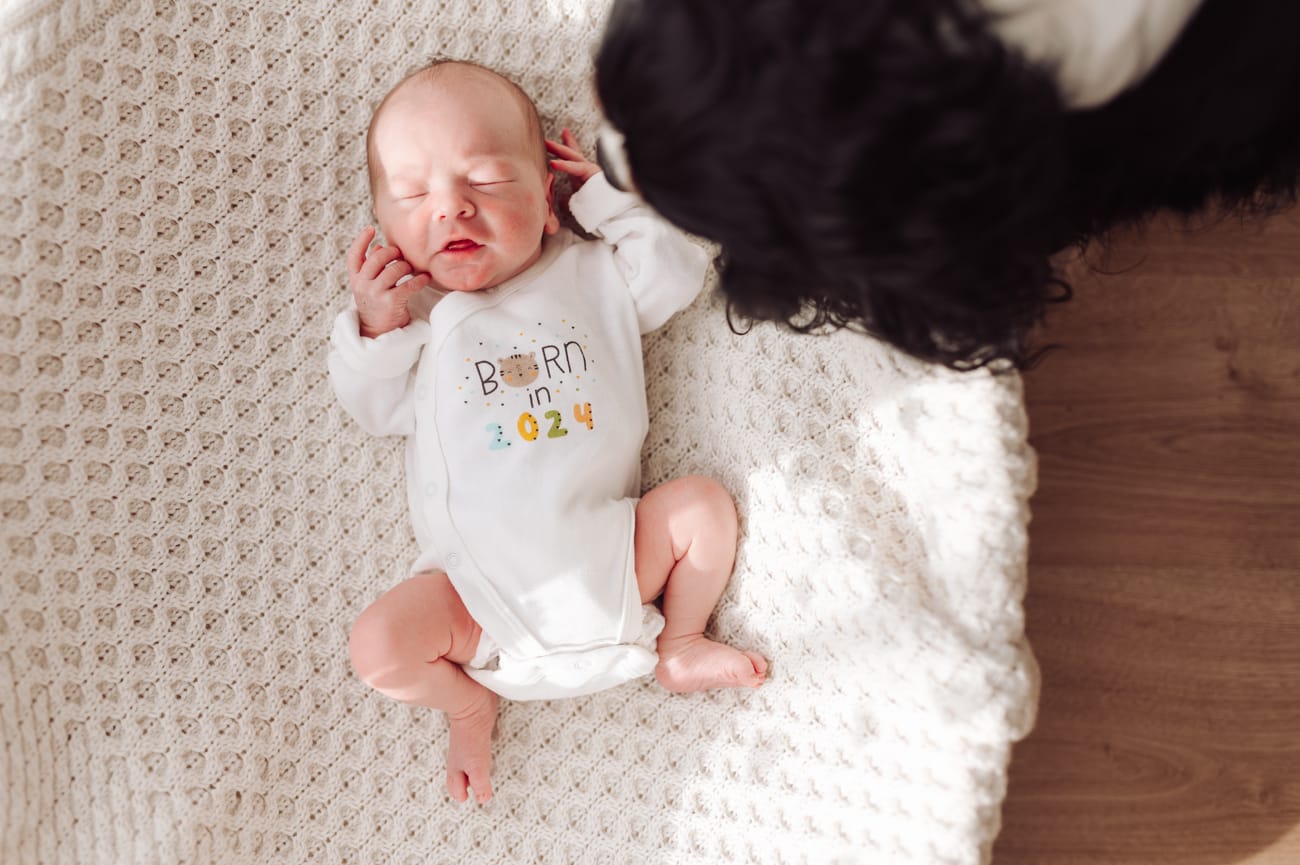 Pies zagląda do noworodka w koszu sesja noworodkowa z psem Gdynia