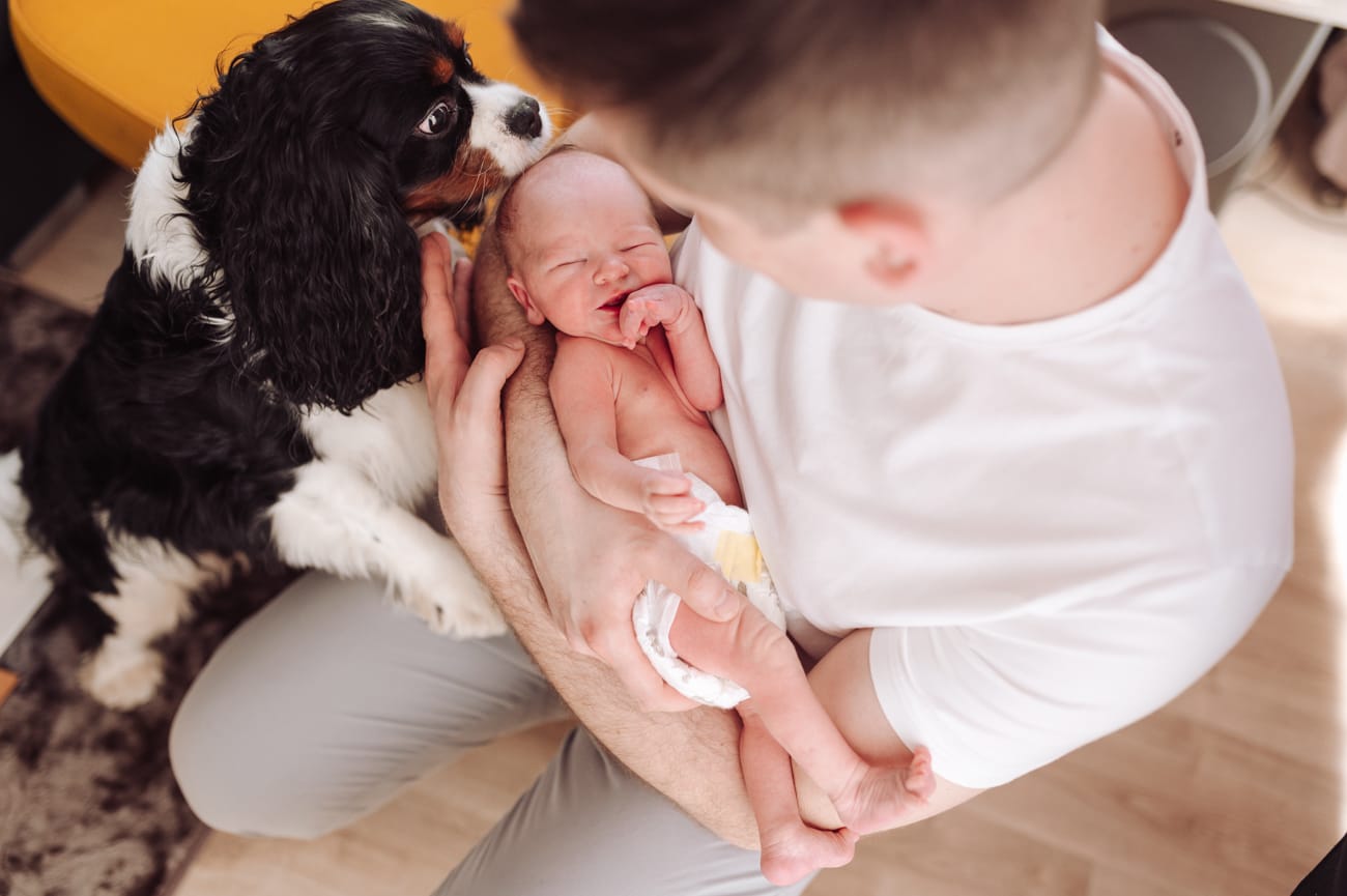 Tata z noworodkiem i psem sesja noworodkowa w domu Gdynia