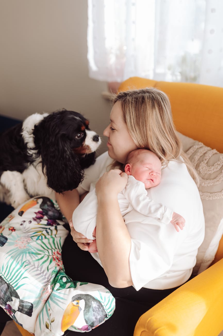 Pies patrzy na mamę z noworodkiem sesja noworodkowa z psem