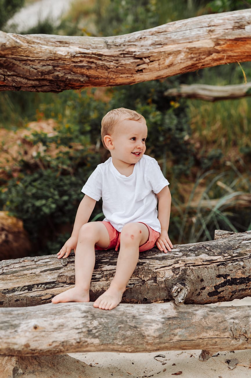 Dwulatek na drzewie na plaży sesja rodzinna Gdynia
