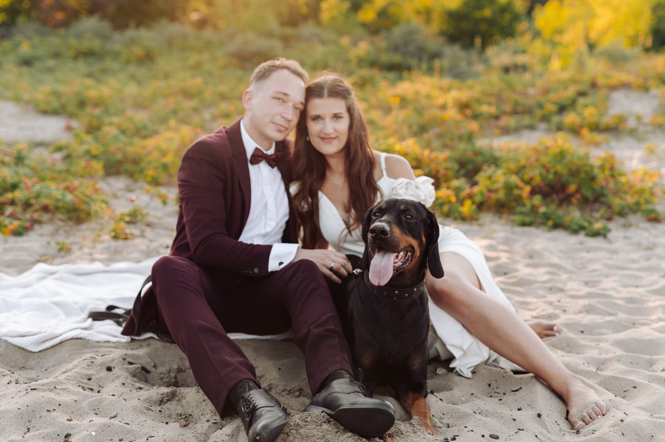 Para z psem w dzikich różach o zachodzie słońca sesja poślubna nad morzem
