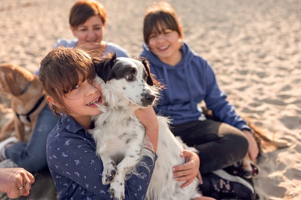 Sesja rodzinna z psami na plaży w Sopocie zachód słońca