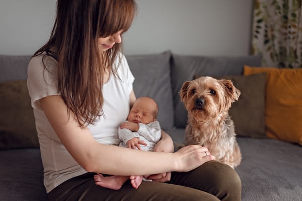 Kiedy zrobić sesję noworodkową noworodek