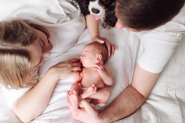 Jak wygląda sesja noworodkowa w domu rodzina z psem Gdynia